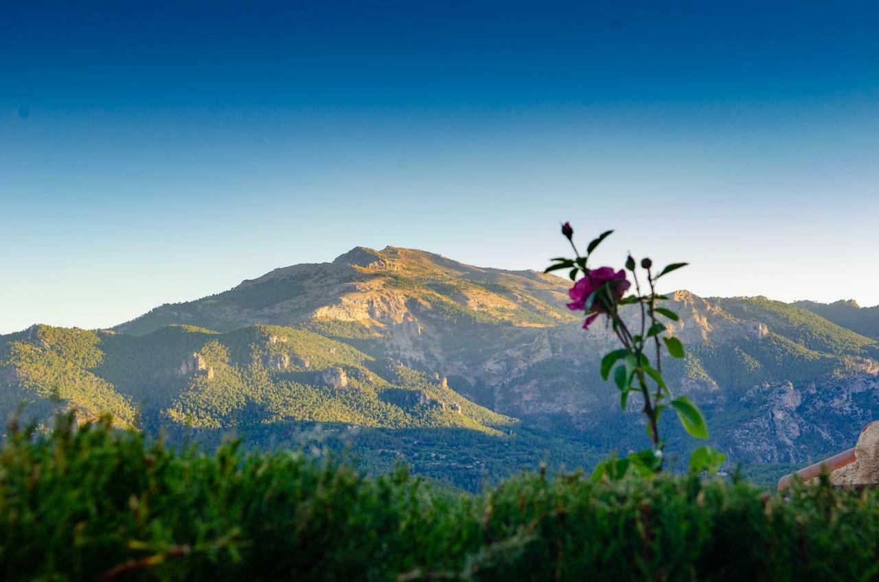 Casas Rurales Mirador Del Mundo Yeste Εξωτερικό φωτογραφία