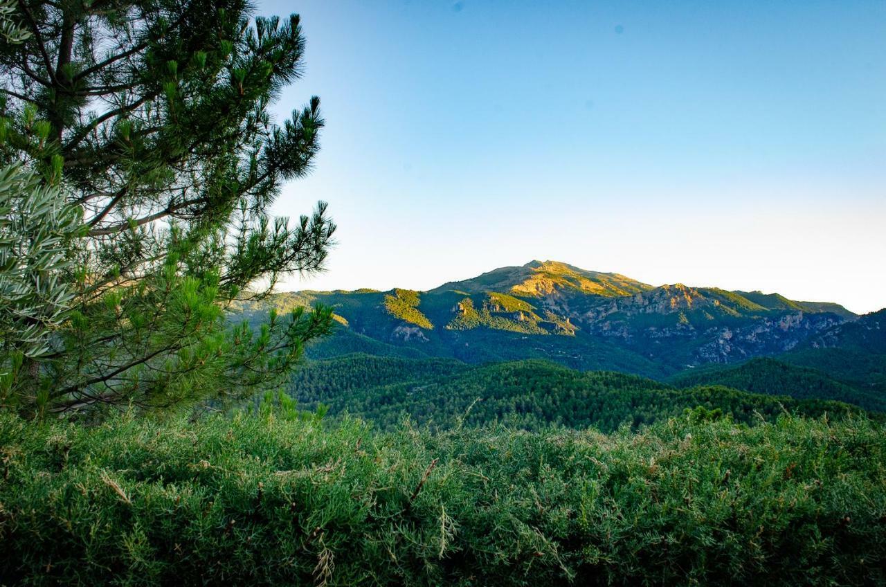 Casas Rurales Mirador Del Mundo Yeste Εξωτερικό φωτογραφία