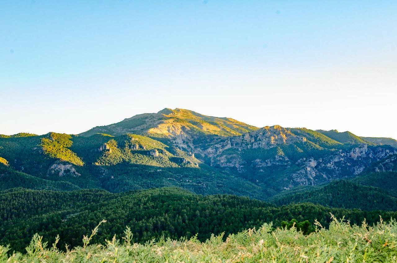 Casas Rurales Mirador Del Mundo Yeste Εξωτερικό φωτογραφία