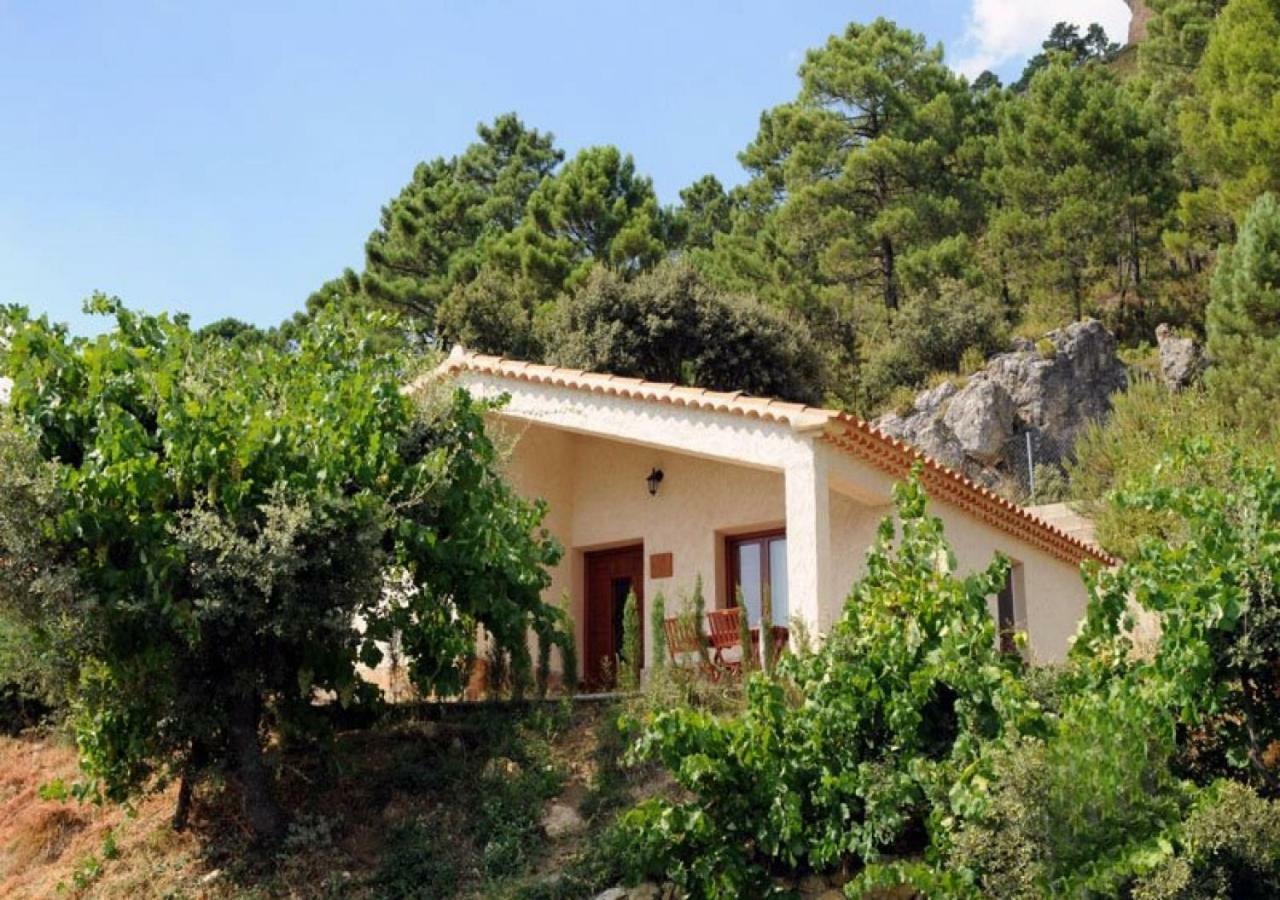 Casas Rurales Mirador Del Mundo Yeste Εξωτερικό φωτογραφία
