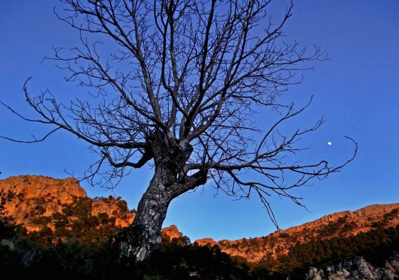 Casas Rurales Mirador Del Mundo Yeste Εξωτερικό φωτογραφία